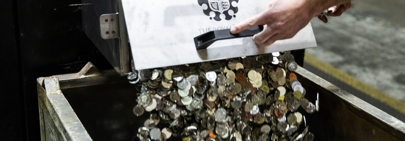 Beginner's Guide to Coin Collecting
